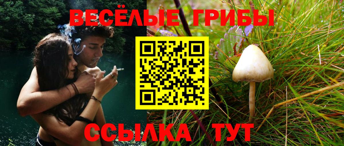 Псилоцибиновые грибы ЛСД Заволжье