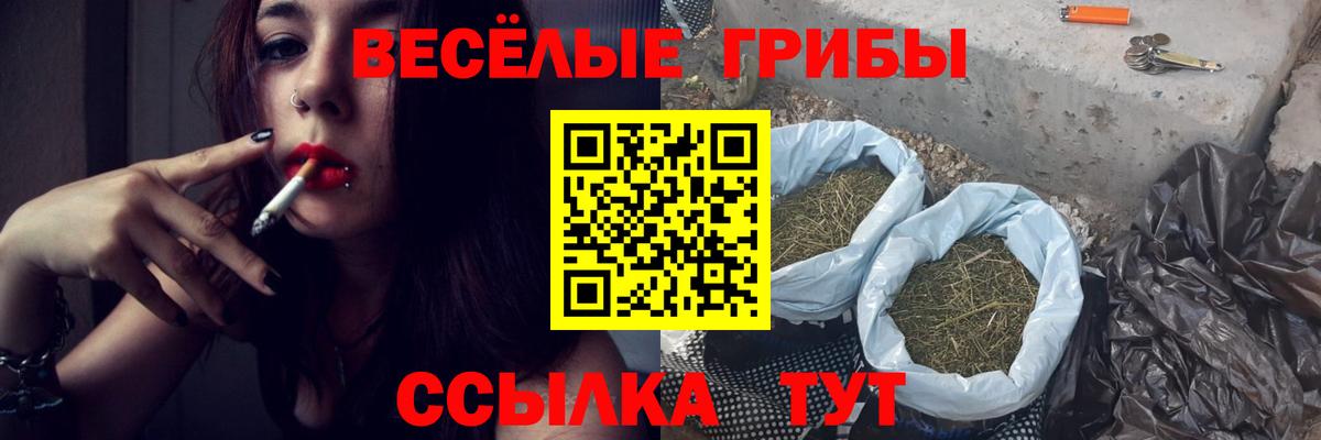 Галлюциногенные грибы мицелий  Вход с VPN  Заволжье 